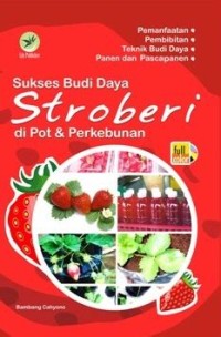 Image of Sukses Budi Daya  Stroberi di Pot & Perkebunan